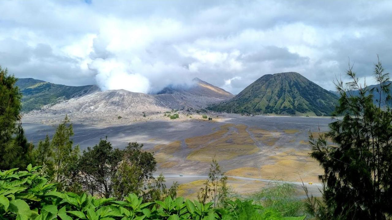 Dannu'S Homestay Ijen And Bromo Tour Баньюванги Экстерьер фото