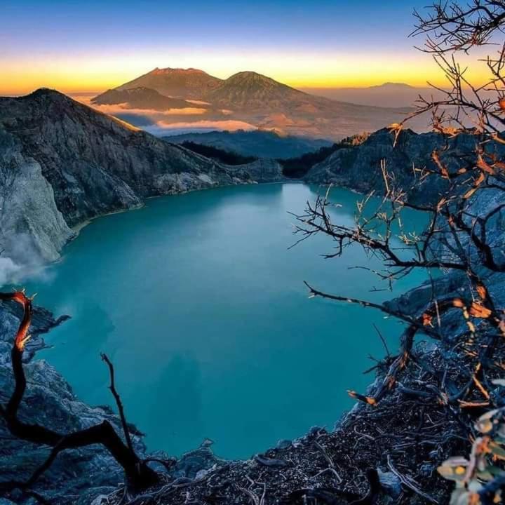 Dannu'S Homestay Ijen And Bromo Tour Баньюванги Экстерьер фото